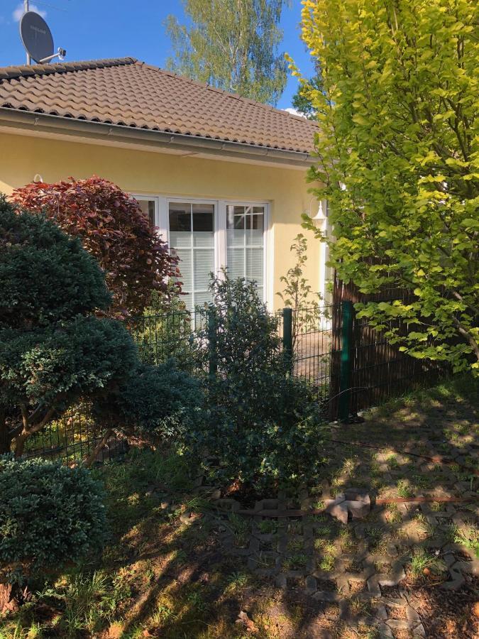 Ferienhaus Blaumond Mit Gartensauna 万德利茨 外观 照片
